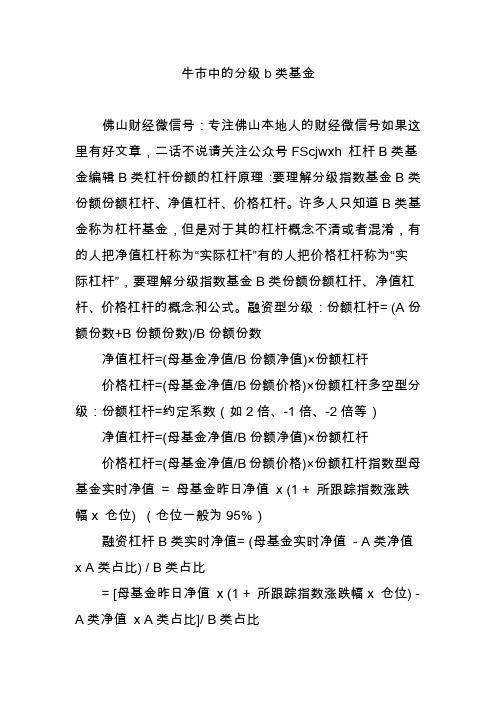 牛市中的分级b类基金