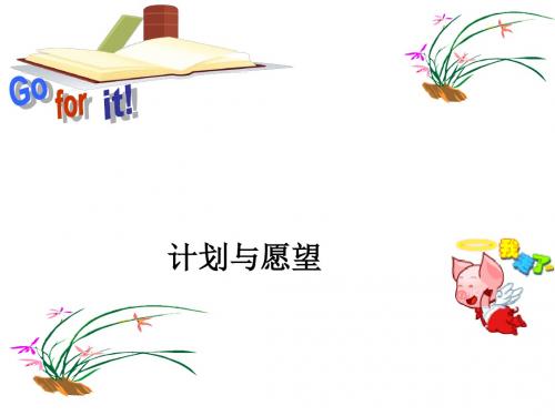 计划与愿望