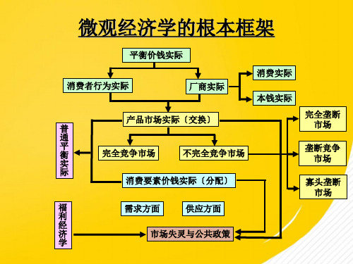 《微观经济学框架》完整版资料