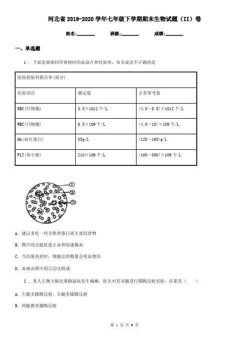 河北省2019-2020学年七年级下学期期末生物试题(II)卷