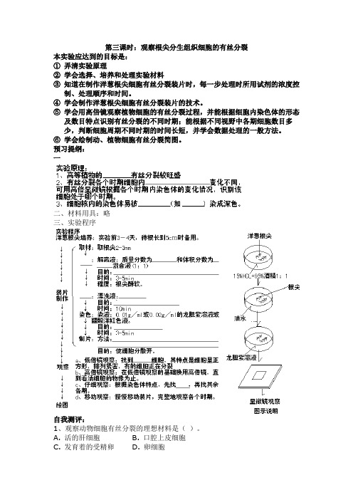 观察根尖分生组织细胞的有丝分裂