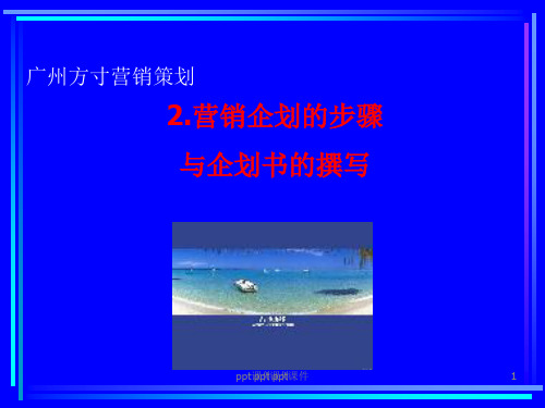 国际著名策划公司教程之营销企划的步骤  ppt课件