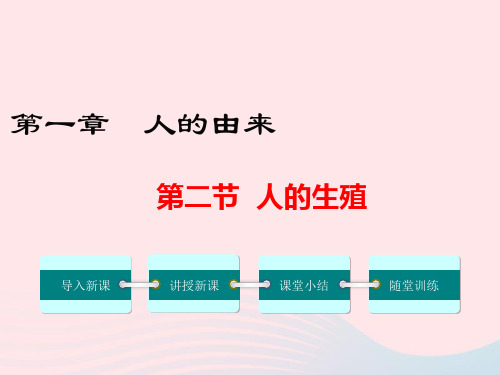 七年级生物下册第四单元第一章第二节人的生殖课件(共22张)