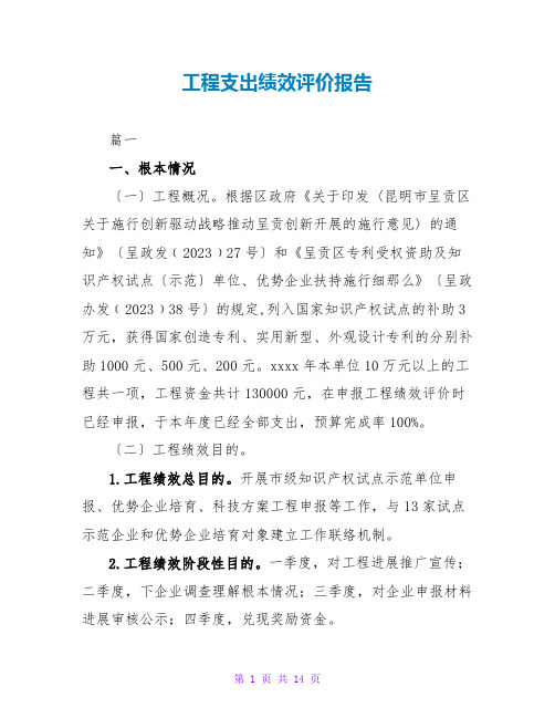 项目支出绩效评价报告