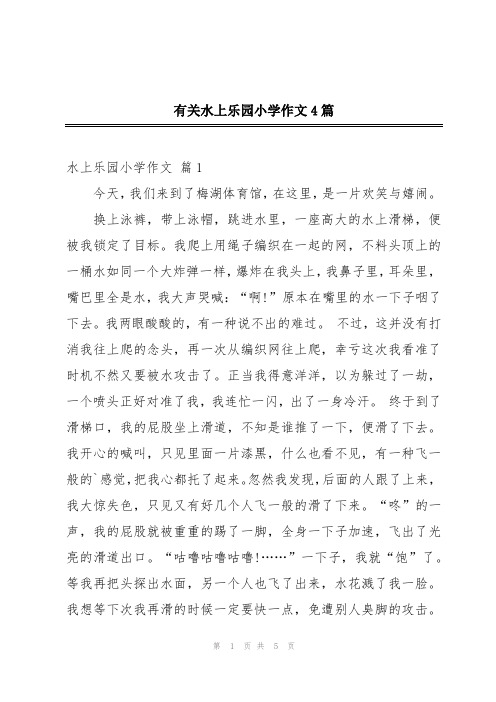 有关水上乐园小学作文4篇