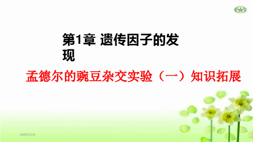 《孟德尔的豌豆杂交实验(一)》人教版高中生物实用PPT