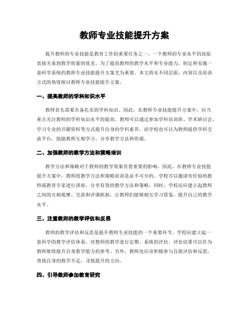 教师专业技能提升方案