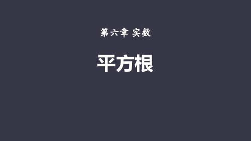 人教版七年级下册6.1平方根课件