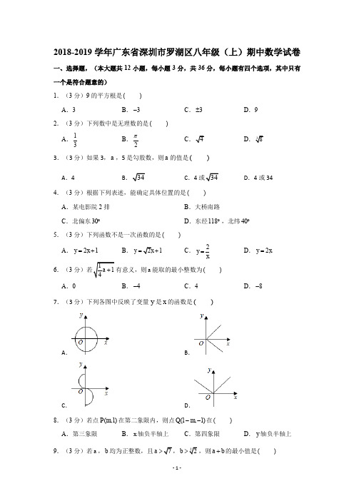 2018-2019学年广东省深圳市罗湖区八年级(上)期中数学试卷试题及答案