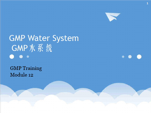 企业培训-GMPWaterSystemcGMP培训系列1 精品