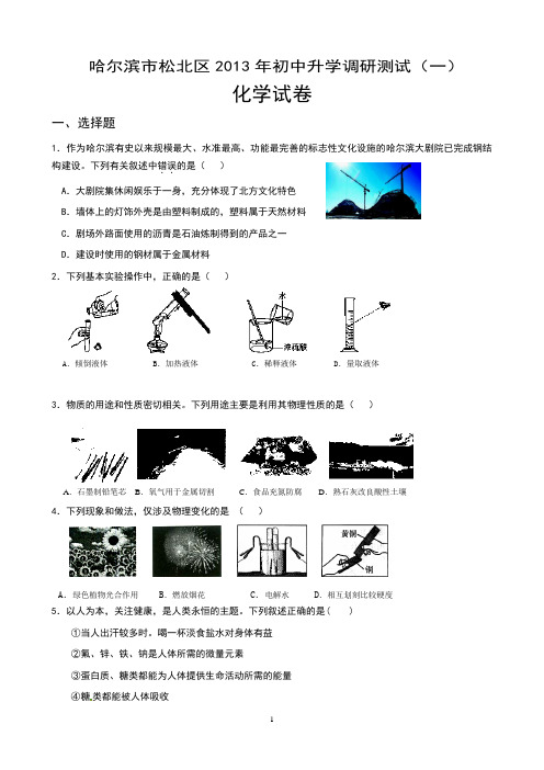 黑龙江省哈尔滨市松北区2013届九年级升学调研测试(一)化学试题