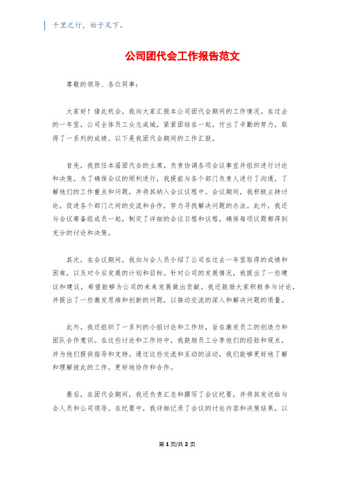 公司团代会工作报告范文