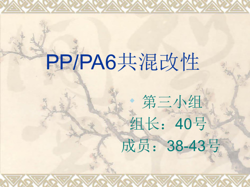 _PP_PA6共混改性