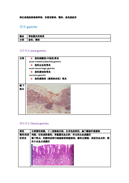 病理-胃炎,溃疡