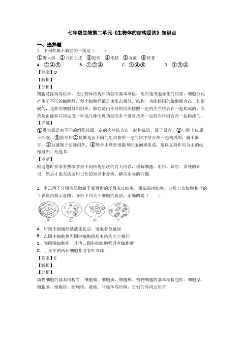 七年级生物第二单元《生物体的结构层次》知识点