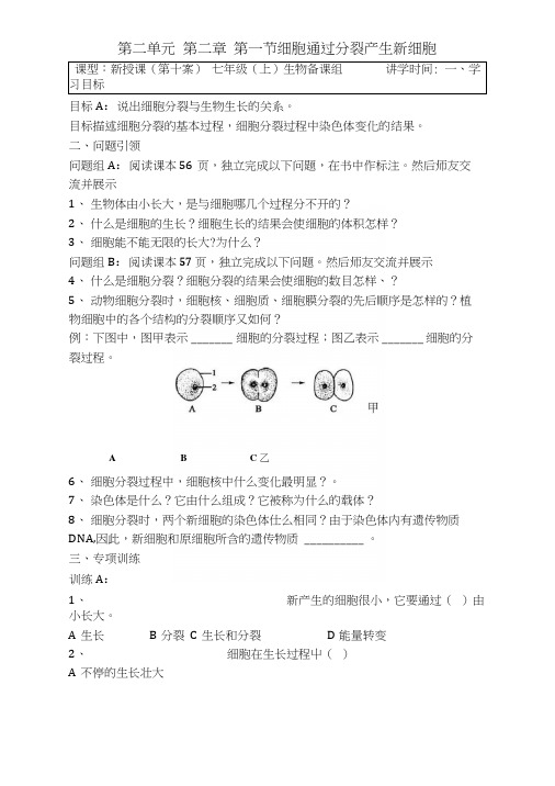 内蒙古鄂尔多斯市东胜区第二中学人教版七年级生物上册学案(无答案):221细胞通过分裂产.docx