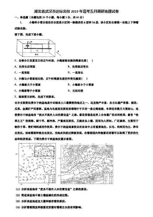 湖北省武汉市达标名校2019年高考五月调研地理试卷含解析