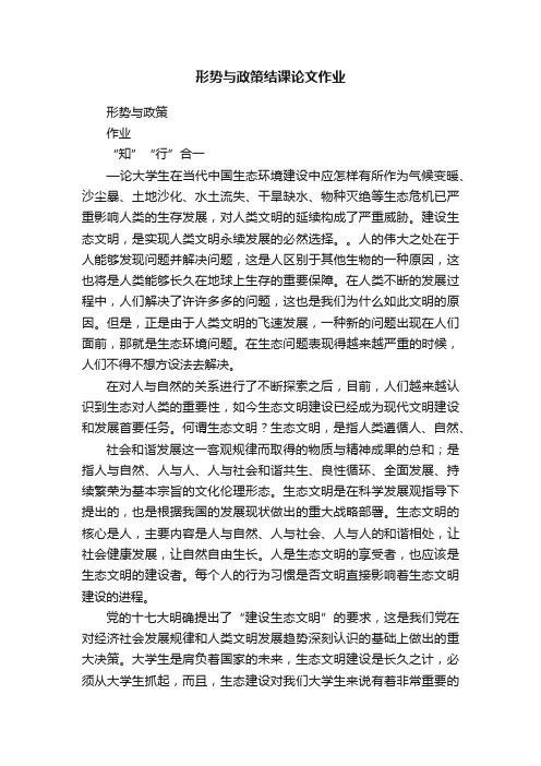 形势与政策结课论文作业