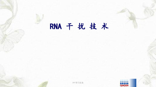 RNA干扰技术