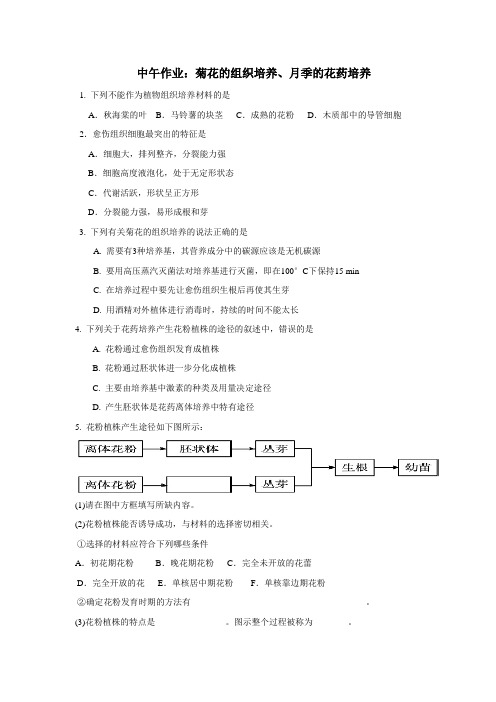 中学人教版高中生物练习：菊花的组织培养、月季的花药培养(附答案)