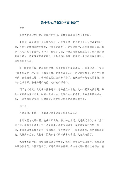 关于担心考试的作文600字