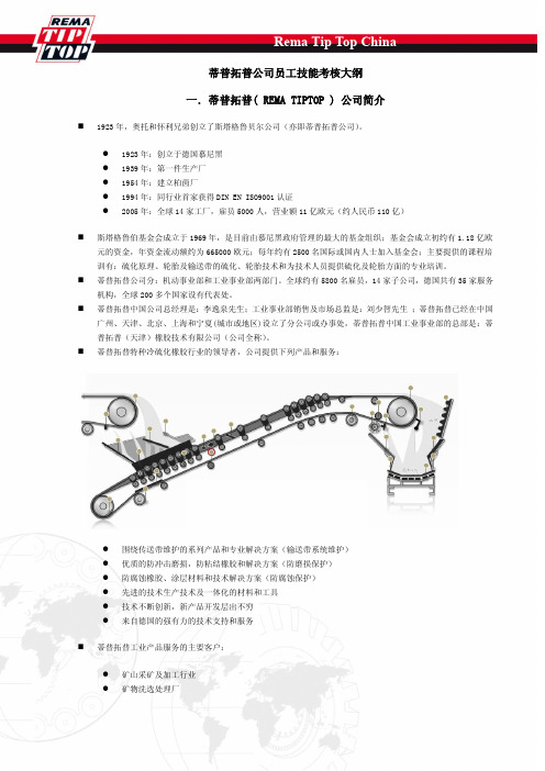 蒂普拓普胶带修补粘接