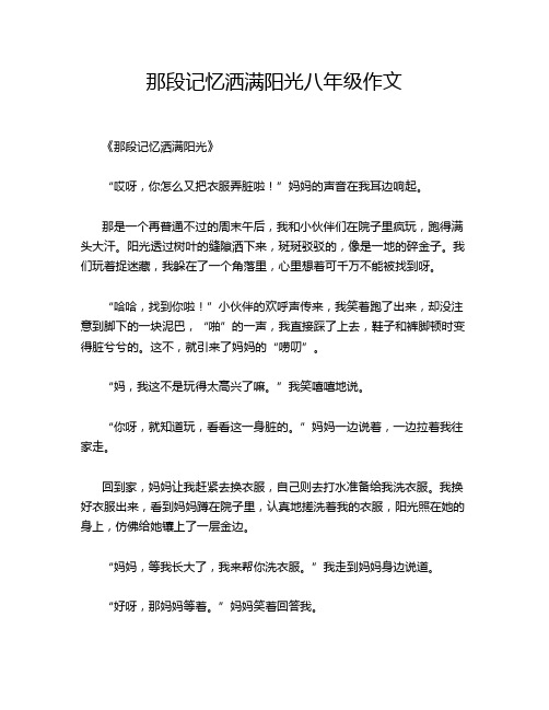 那段记忆洒满阳光八年级作文