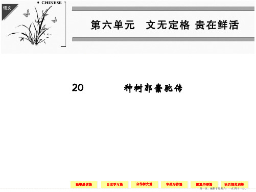 散文6-1《种树郭橐驼传》》课件(人教版选修《中国古代诗歌散文欣赏》)精要