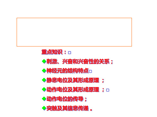 高中生物核心概念高考复习课件-兴奋在神经元上产生传导和传递