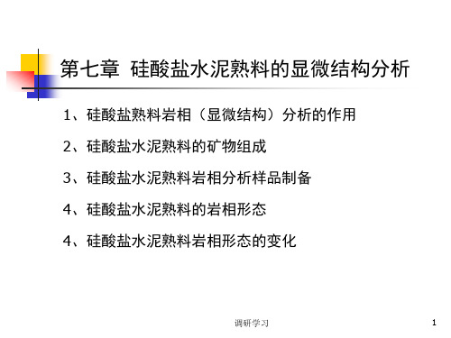 第六章 硅酸盐水泥熟料显微结构分析[研究材料]