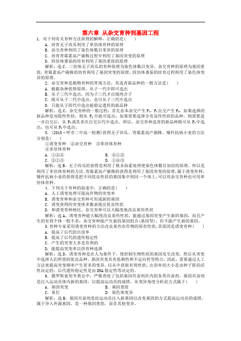高中生物 第六章 从杂交育种到基因工程章末综合检测 新人教版必修2