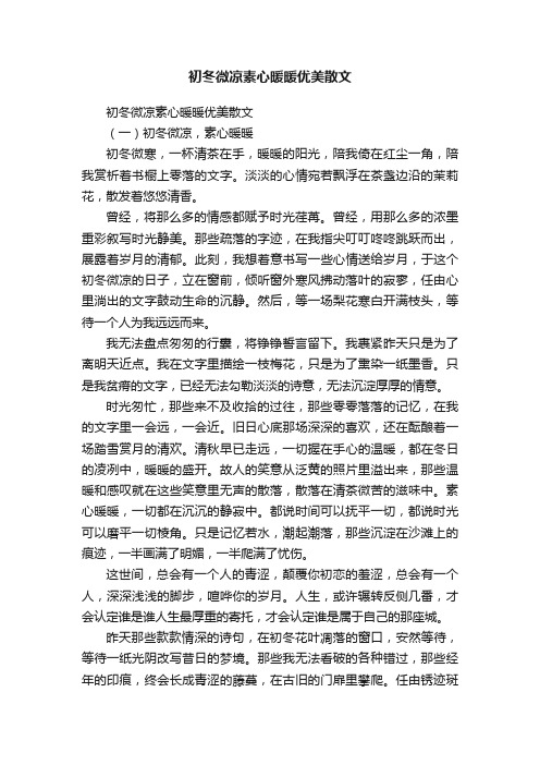 初冬微凉素心暖暖优美散文