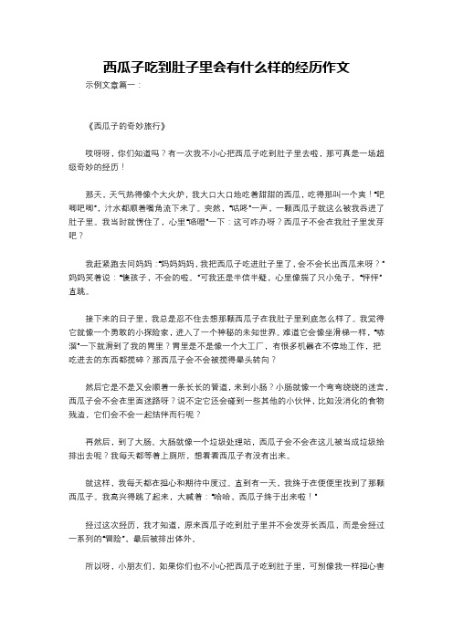 西瓜子吃到肚子里会有什么样的经历作文