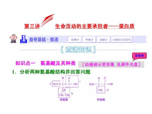 2015届《三维设计》高考生物一轮精品课件：1.1.3生命活动的主要承担者--蛋白质