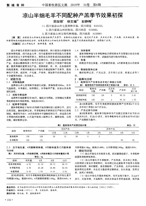 凉山半细毛羊不同配种产羔季节效果初探