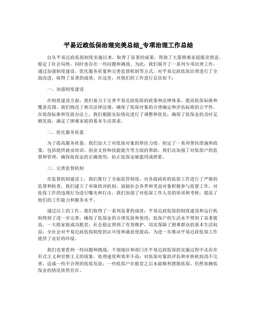 平易近政低保治理完美总结_专项治理工作总结