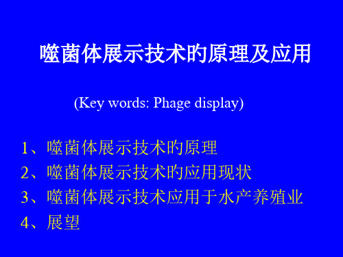 噬菌体展示技术的原理及应用