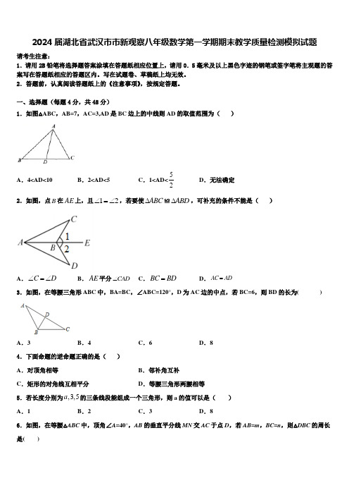 2024届湖北省武汉市市新观察八年级数学第一学期期末教学质量检测模拟试题含解析