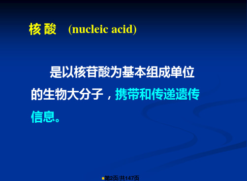 核酸组成与结构