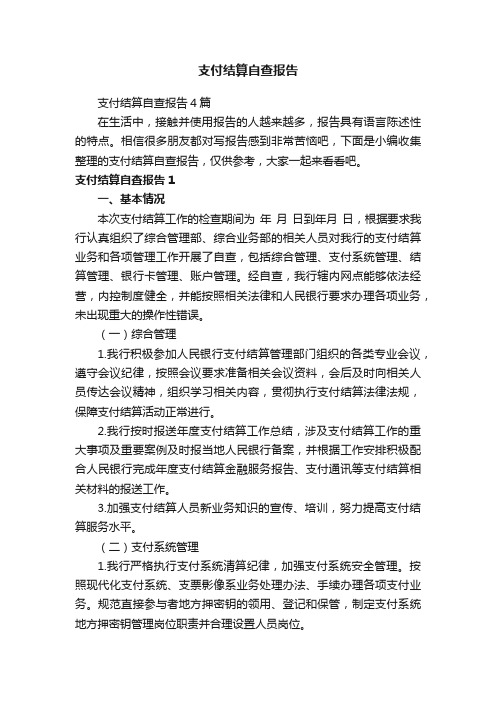 支付结算自查报告