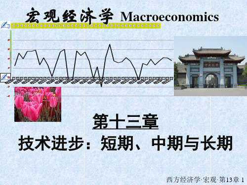 宏观经济学 第13章 技术进步：中期、短期与长期