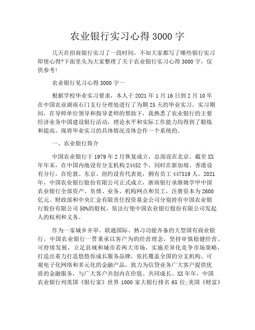 农业银行实习心得3000字