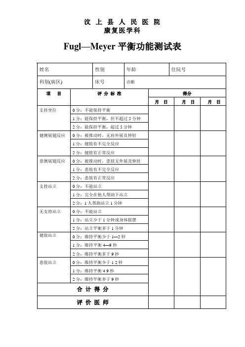 平衡功能测量表