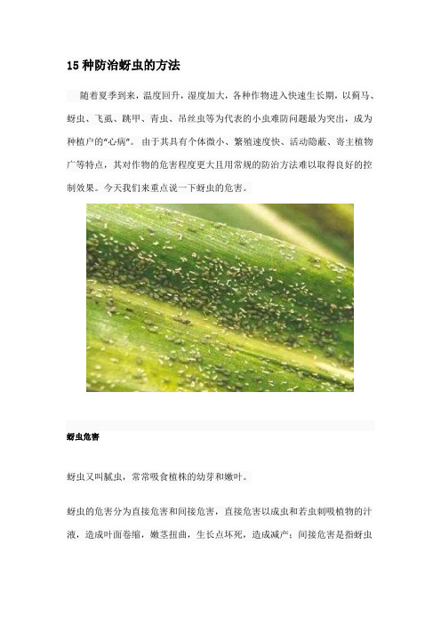 15种防治蚜虫的方法