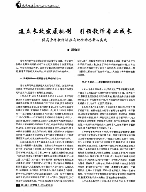 建立长效发展机制 引领教师专业成长——提高青年教师培养有效性的思考与实践