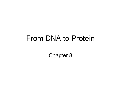 The Blueprint of Life, From DNA to Protein：生命的蓝图,从DNA到蛋白质