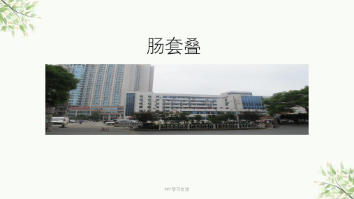 肠套叠医学PPT课件