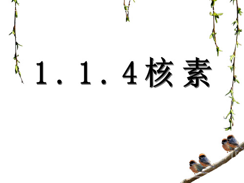 人教版高一化学必修二1.1.4《核素》课件(共13张PPT)