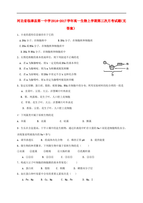 河北省临漳县第一中学高一生物上学期第三次月考试题(