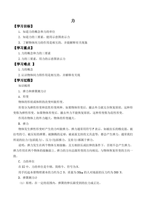 2020年九年级物理中考复习专题《力》教案